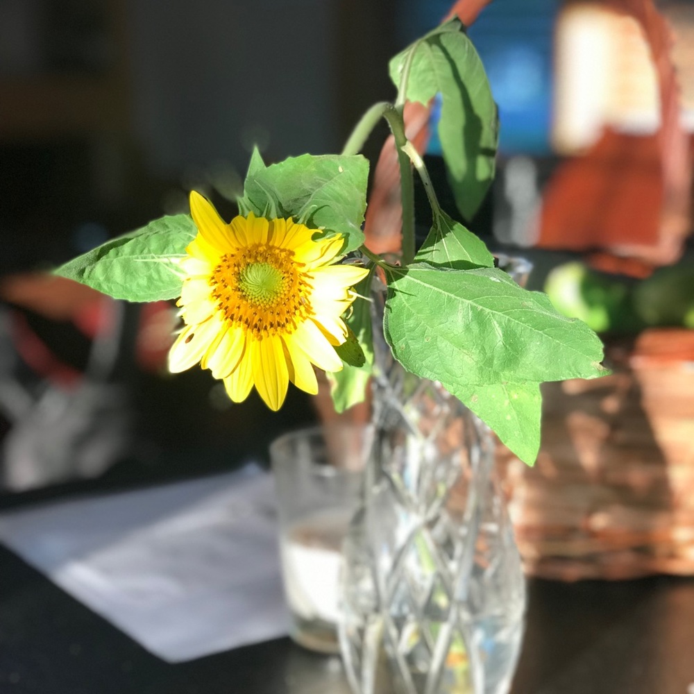 Meet your Posher, Katherine